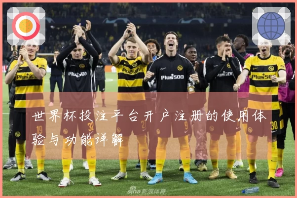 世界杯投注平台开户注册的使用体验与功能详解