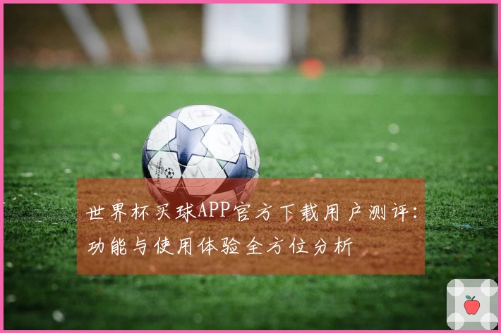 世界杯买球APP官方下载用户测评：功能与使用体验全方位分析