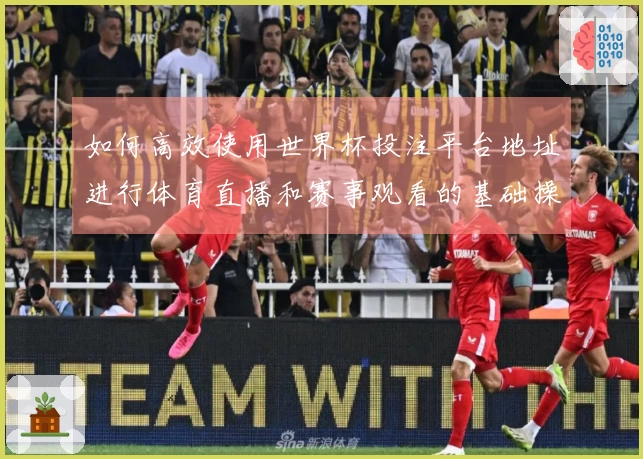 如何高效使用世界杯投注平台地址进行体育直播和赛事观看的基础操作指南