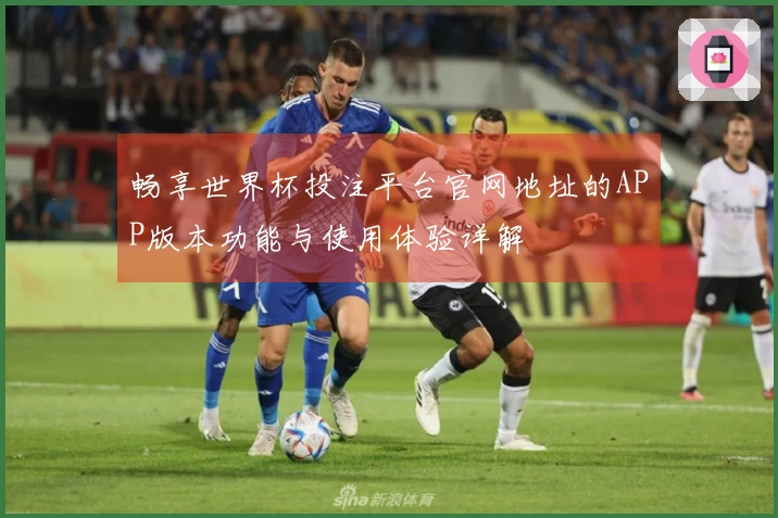 畅享世界杯投注平台官网地址的APP版本功能与使用体验详解